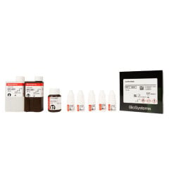 CATEQUINAS 100ML