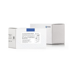 IMUNORAPIDO DENGUE IGG/IGM 25 TESTES