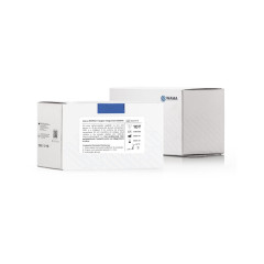 IMUNORAPIDO TIPAGEM SANGUINEA ABO&RH 10T COMPLETO
